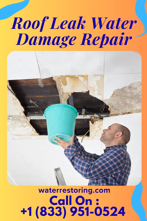 Roof Leak Water Damage Repair in Boston, MA